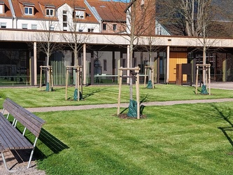 EFL Miltenberg